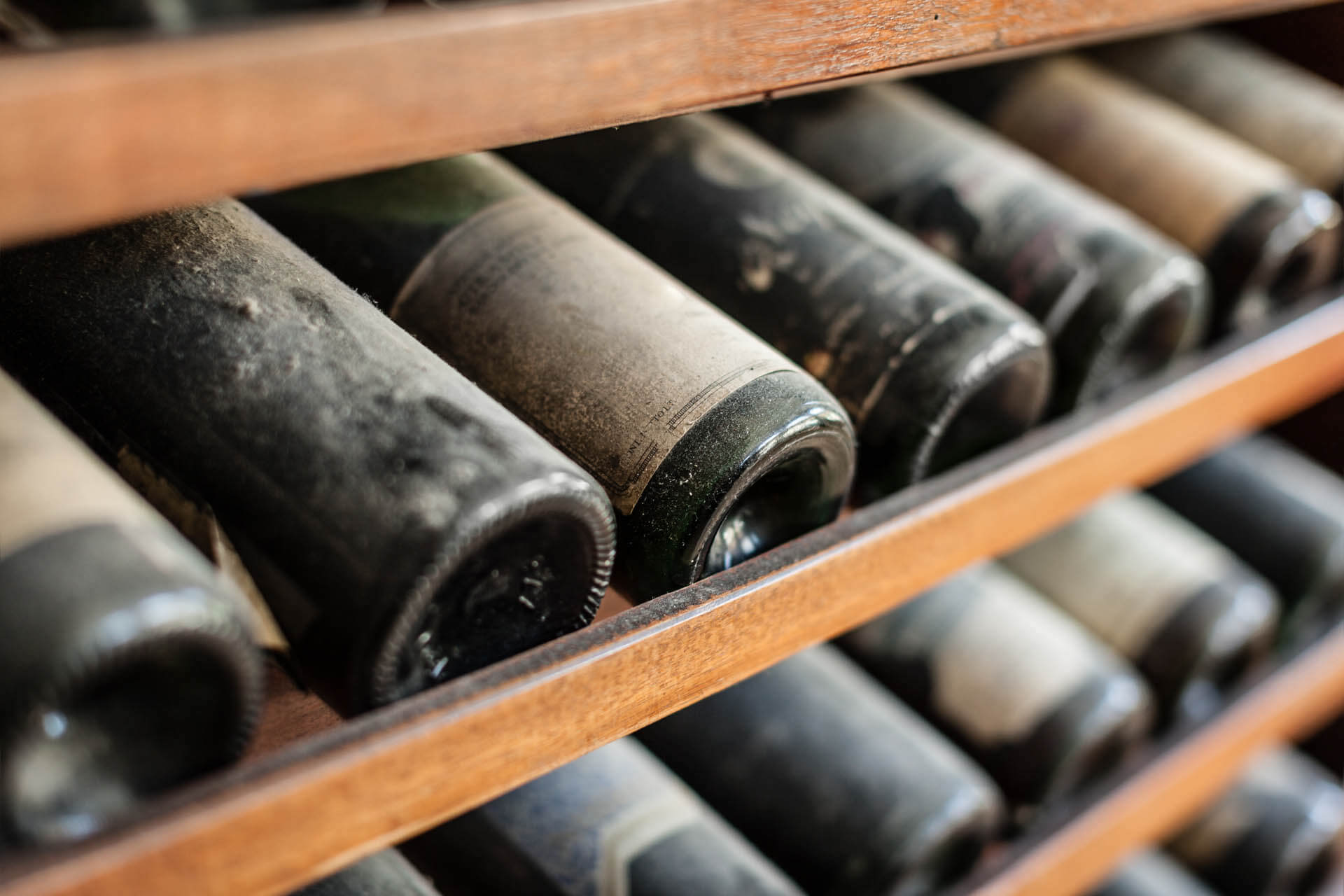 Old wine bottles covered in dust in cellar